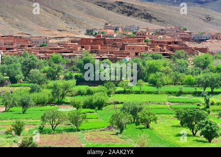 Un piccolo villaggio dai campi terrazzati, nell'Alto Atlante mountain range. Il Marocco Foto Stock