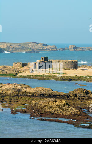 La fortificata isole Mogador, antica Iles Purpuraires davanti a Essaouira, dove i romani e i Fenici elaborato il murex e porpora gusci Foto Stock