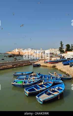 Tradizionali barche da pesca nel trafficato porto di pescatori di Essaouira, la terza per importanza in Marocco. Foto Stock