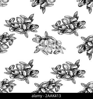 Modello senza giunture di mano il bozzetto style pistacchi isolati su sfondo bianco. Illustrazione Vettoriale. Illustrazione Vettoriale