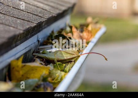 Primo piano della casa di gronda pioggia intasato con colorate le foglie che cadono dagli alberi in autunno. Concetto di home la manutenzione e la riparazione Foto Stock