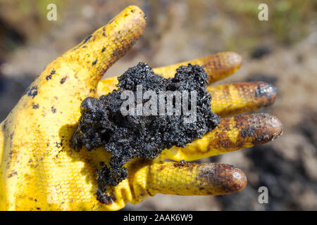 Una mano piena di materie sabbia catramosa. Questo gloopy mix di bitume, sabbia e ghiaia è che cosa l'olio gli uomini sono dopo. Al fine di separare il bitume, vasto qua Foto Stock