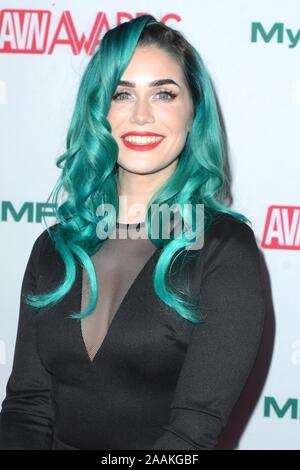 Los Angeles, CA. Xxi Nov, 2019. HackerGirl presso gli arrivi per Adult Video News AVN Awards nomina partito, Avalon Hollywood, Los Angeles, CA, 21 novembre 2019. Credito: Priscilla concedere/Everett raccolta/Alamy Live News Foto Stock