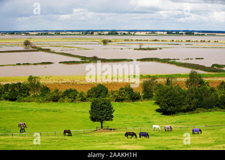 Guardando verso il basso sulla alta marea allagamento all'Alkborough violazione. Foto Stock