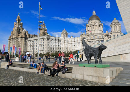 Super Lambanana scultura, George's Parade, Liverpool, in Inghilterra, Regno Unito Foto Stock