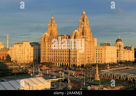 Royal Liver Building, Liverpool, England, Regno Unito Foto Stock