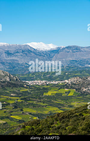 Vista aerea rurale della regione Archanes paesaggio. Unico suggestivo panorama di oliveti, vigneti e prati verdi e colline vista in primavera. Psiloritis Foto Stock