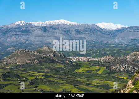 Vista aerea rurale della regione Archanes paesaggio. Unico suggestivo panorama di oliveti, vigneti e prati verdi e colline vista in primavera. Psiloritis Foto Stock