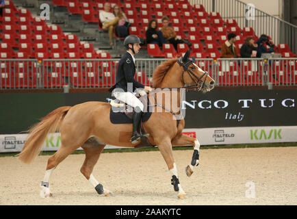 VERONA, Italia - NOV 09: Pieter Devos per il Belgio si fanno concorrenza a livello franco Tucci, durante l'evento Longines FEI Jumping World Cup 2019 a Verona Foto Stock