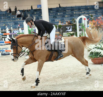 VERONA, Italia - NOV 09: Pieter Devos per il Belgio si fanno concorrenza a livello franco Tucci, durante l'evento Longines FEI Jumping World Cup 2019 a Verona Foto Stock