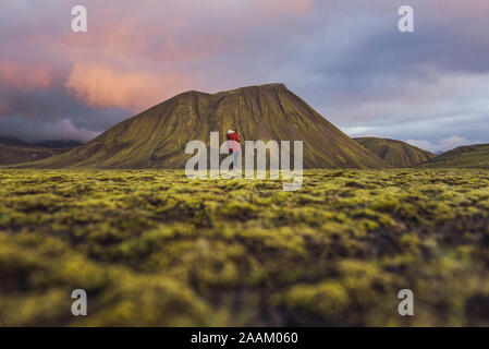 Escursionista esplorare il paesaggio di muschio, Landmannalaugar, altopiani, Islanda Foto Stock
