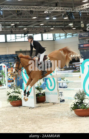 VERONA, Italia - NOV 09: Pieter Devos per il Belgio si fanno concorrenza a livello franco Tucci, durante l'evento Longines FEI Jumping World Cup 2019 a Verona Foto Stock