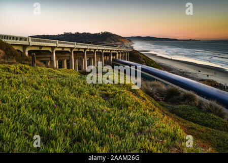 Passeggeri Amtrak locomotiva diesel viaggi costieri lungo i binari della ferrovia sotto il ponte, Torrey Pines State Park nel retro, La Jolla, California, Stati Uniti d'America Foto Stock