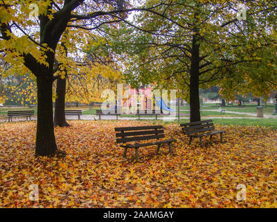 Panchine sul prato di un giardino pubblico coperto da foglie cadute dagli alberi Foto Stock