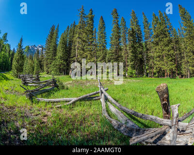 Recinzione di registro, Dallas Creek Road, County Road 7, San Juan Mountains vicino Ridgway, Colorado. Foto Stock