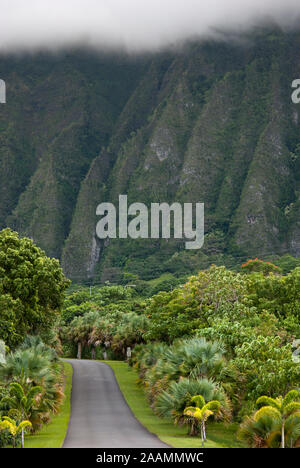 Ho'omaluhia Grdens botanico su Oahu Island, Hawaii Foto Stock