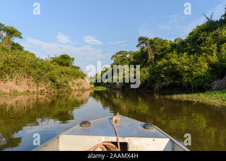 Una fitta foresta lungo il Rio Araguaia, un importante affluente del bacino amazzonico. Tocantins Brasile, Sud America. Foto Stock