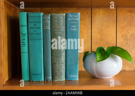 Vintage blu e verde libri sullo scaffale vintage con bianco midcentury piantatrice e pothos pianta Foto Stock