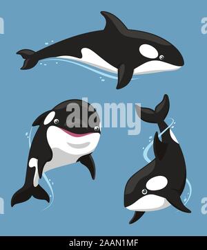 Killer Whale Aquatic mammifero carnivoro set, illustrazione vettoriale cartoon. Illustrazione Vettoriale