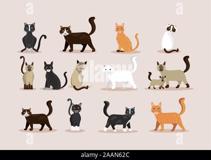 Bundle di gatti gatti animali icone Illustrazione Vettoriale
