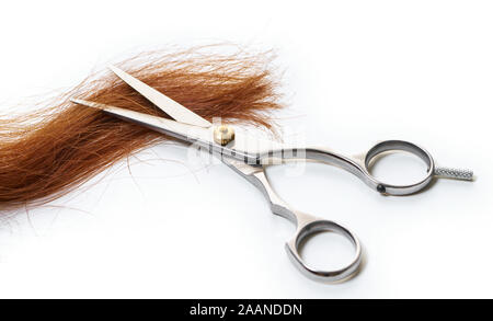 Forbici con una ciocca di capelli su sfondo bianco Foto Stock