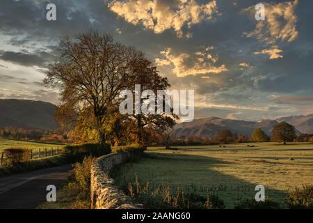 Autunno magnifico scenario autunnale paesaggio di campagna nel Lake District con bella luce dorata su alberi e colline Foto Stock