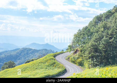 L a forma di S strada curva sulla montagna di sfondo fiore giallo o Tithonia diversifolia (Hemsl.) A.grigio fioritura e albero a Doi Ou Kha , Mae Ho Foto Stock