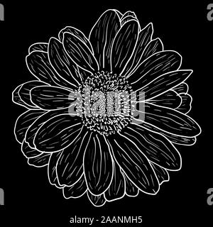 Bellissimo schizzo in bianco e nero, bianco e nero Fiore Dahlia isolato. Illustrazione Vettoriale