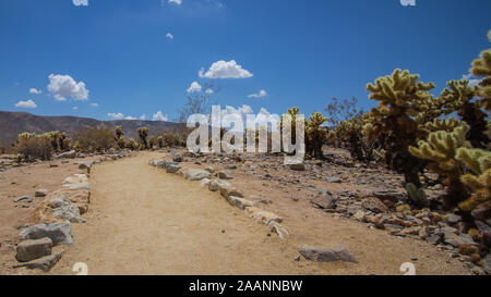 Parco nazionale di Joshua Tree Foto Stock