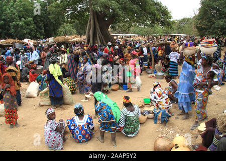 Paese Dogon : villaggio di Bamba Foto Stock