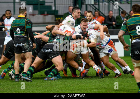 Treviso, Italia. 23 Nov, 2019. Treviso, Italia. 23 Nov, 2019. maul Benetton Treviso durante la Benetton Treviso vs Northampton santi, Rugby Heineken Champions Cup a Treviso, Italia, 23 novembre 2019 Credit: Indipendente Agenzia fotografica/Alamy Live News Foto Stock