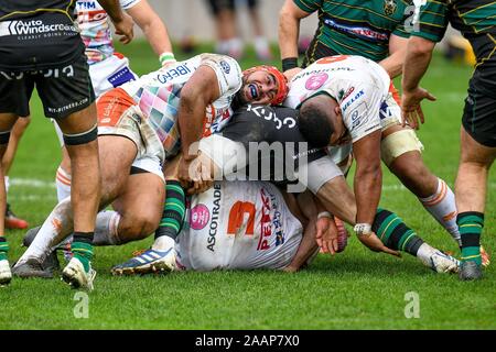Treviso, Italia. 23 Nov, 2019. Treviso, Italia. 23 Nov, 2019. hame faiva (Treviso) durante la Benetton Treviso vs Northampton santi, Rugby Heineken Champions Cup a Treviso, Italia, 23 novembre 2019 Credit: Indipendente Agenzia fotografica/Alamy Live News Foto Stock