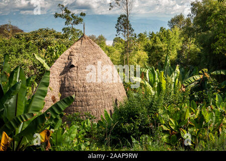 Etiopia, Rift Valley, Gamo Gofo Omo, Arba Minch, villaggio Dorze alveare distintivo a forma di tetto della casa Foto Stock