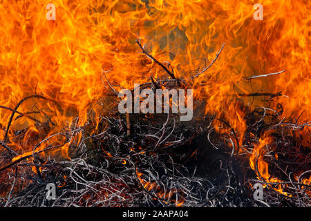 In prossimità di una piscina a fuoco di legno Foto Stock