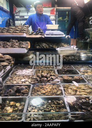 Pechino, Cina. 23 Nov, 2019. Un mollusco cinese venditore attende i clienti in uno dei principali mercati alimentari a Pechino il Sabato, 23 novembre 2019. La Cina ha sollevato la sua stima della dimensione del suo rallentamento economico di circa il 2 percento a seguito di una nazionale censimento economico, nonostante l'economia cinese cresce a più lento dal 1992. Il rallentamento economico ha fatto male i consumatori come il costo della vita, specialmente il cibo, continua ad aumentare per nucleo familiare. Foto di Stefano rasoio/UPI Credito: UPI/Alamy Live News Foto Stock