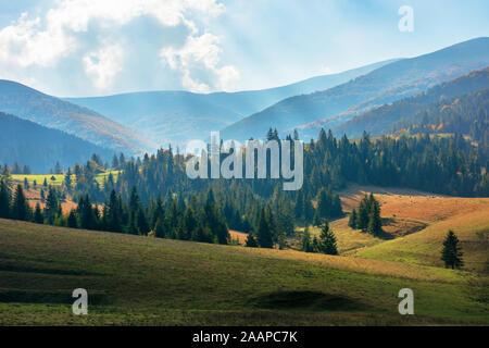 Area rurale dei Carpazi in autunno. meraviglioso paesaggio delle montagne borzhava in pezzata luce osservata da podobovets villaggio agricolo. Foto Stock