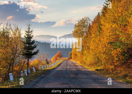 Strada asfaltata attraverso le montagne boscose. alberi in caduta delle foglie. foggy meteo a sunrise. incandescente nuvole del cielo Foto Stock