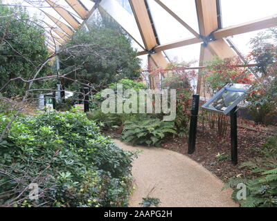 Percorsi tortuosi attraverso delle piante tropicali fornire qualche spazio verde chiuso nel giardino sul tetto di Crossrail posto, Canary Wharf. Foto Stock