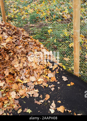 Gabbia a foglia con coperchio a terra biodegradabile riempito con foglie per formare la muffa a foglia.