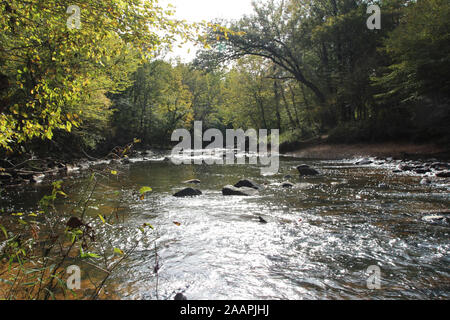 Il fiume Eno che fluisce attraverso una foresta in Eno River State Park, North Carolina, Stati Uniti d'America, in una giornata di sole Foto Stock