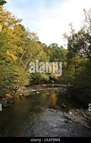 Il fiume Eno che fluisce attraverso una foresta in Eno River State Park, North Carolina, STATI UNITI D'AMERICA Foto Stock