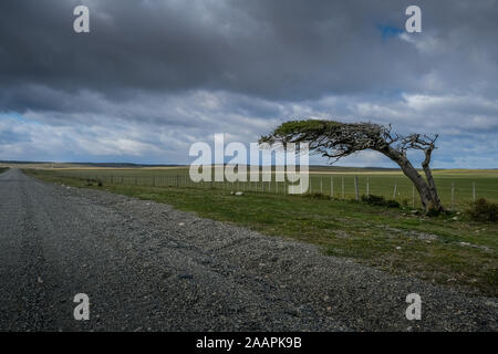 Foto scattate in Patagonia , Cile e Argentina , durante un tour fotografico per piccoli gruppi gestito da Alexmaureira.com Foto Stock