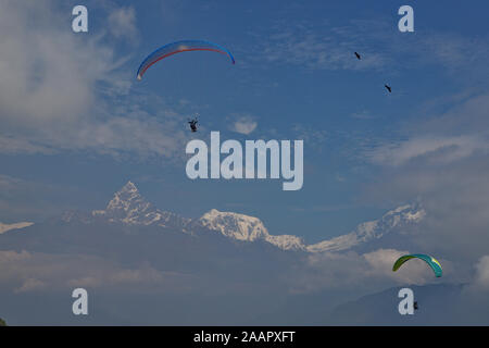 Parapendio oltre a Pokhara con una vista della catena Hannapurna Foto Stock
