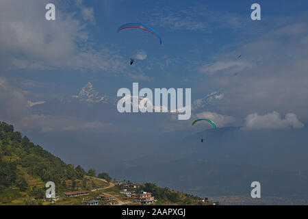 Parapendio oltre a Pokhara con una vista della catena Hannapurna Foto Stock