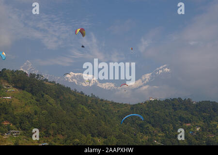Parapendio oltre a Pokhara con una vista della catena Hannapurna Foto Stock