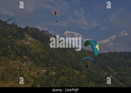 Parapendio oltre a Pokhara con una vista della catena Hannapurna Foto Stock
