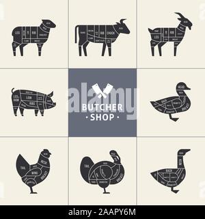 Impostare una vista schematica degli animali per il Butcher Shop. Illustrazione Vettoriale