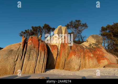 Rocce a Binalong Bay, Baia di incendi, Tasmania Foto Stock