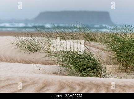 Il dado, Stanley da Peggs Conservation Area beach Foto Stock