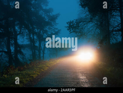 Misterioso fari auto incandescente su un moody strada forestale. Su una misteriosa nebbia inverni di sera. Foto Stock